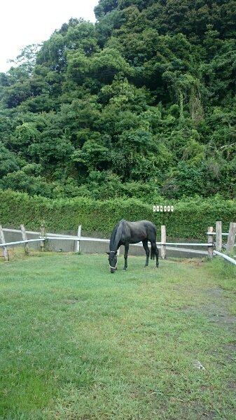 b0187620_20544267.jpg