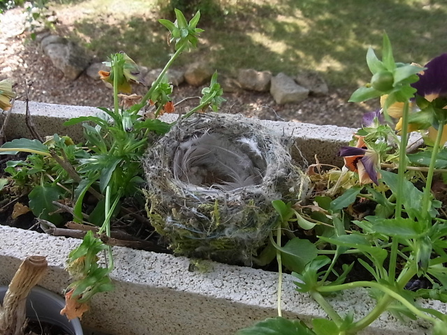 b0070127_1371142.jpg