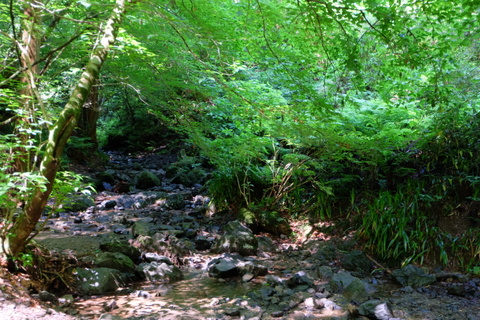 b0281732_8101389.jpg