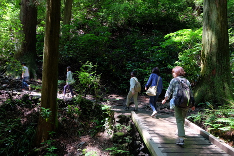 b0281732_81061.jpg