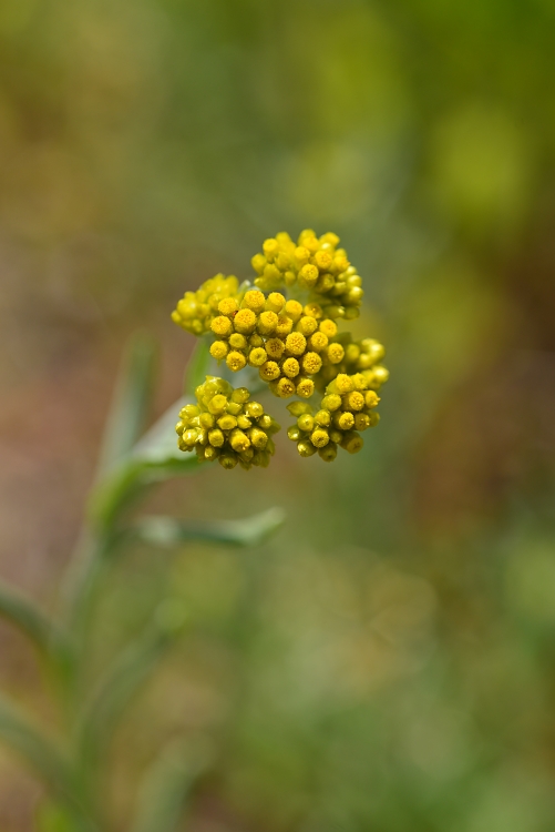 b0236334_20305242.jpg