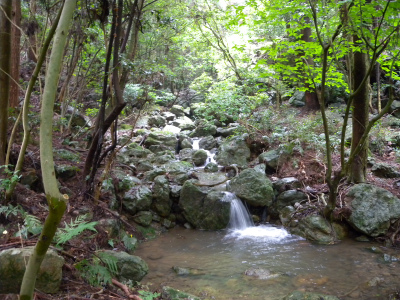 e0272335_1631557.jpg