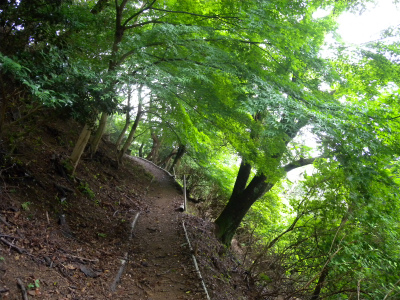 e0272335_16354791.jpg