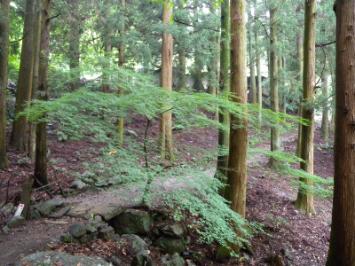 e0272335_1646495.jpg