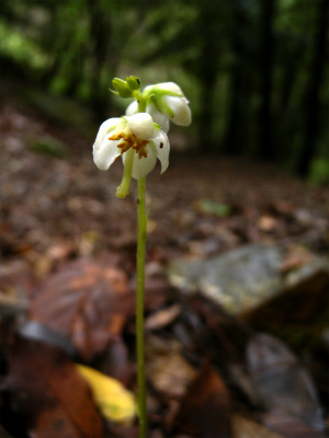 e0272335_17312830.jpg