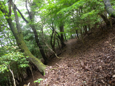 e0272335_17355720.jpg
