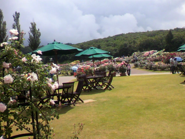 a0111545_21361078.jpg