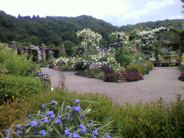 a0111545_21383049.jpg