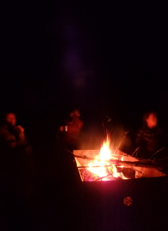c0339546_120135.jpg