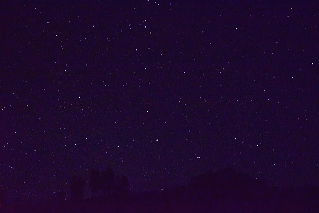 c0339546_1205156.jpg