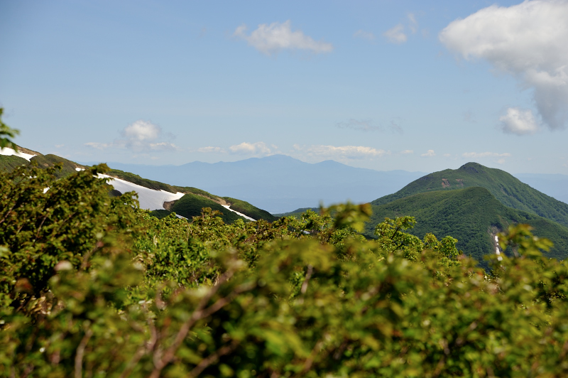 d0169556_20544346.jpg