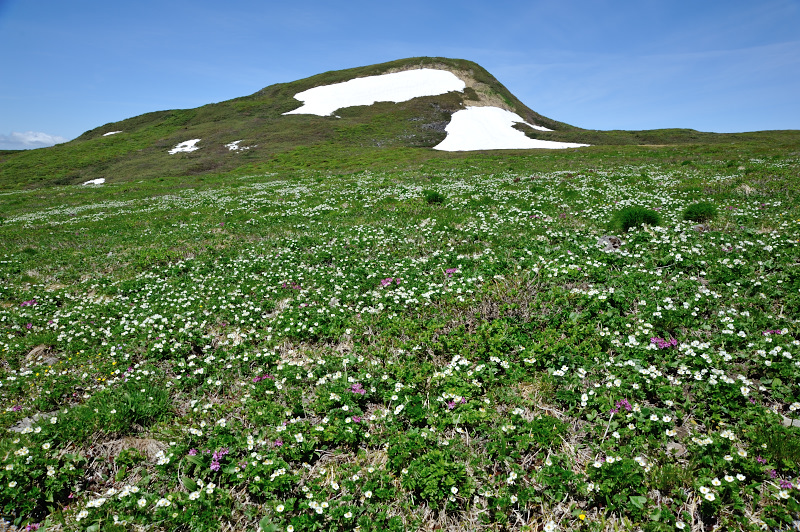 d0169556_21313333.jpg