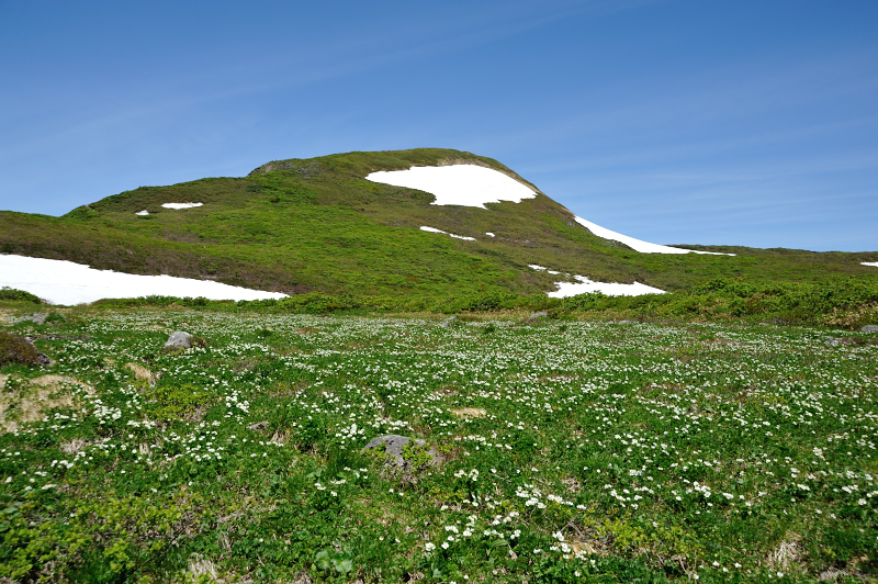d0169556_2193448.jpg