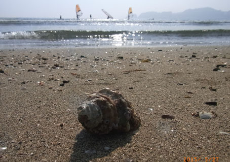 b0075364_9124188.jpg