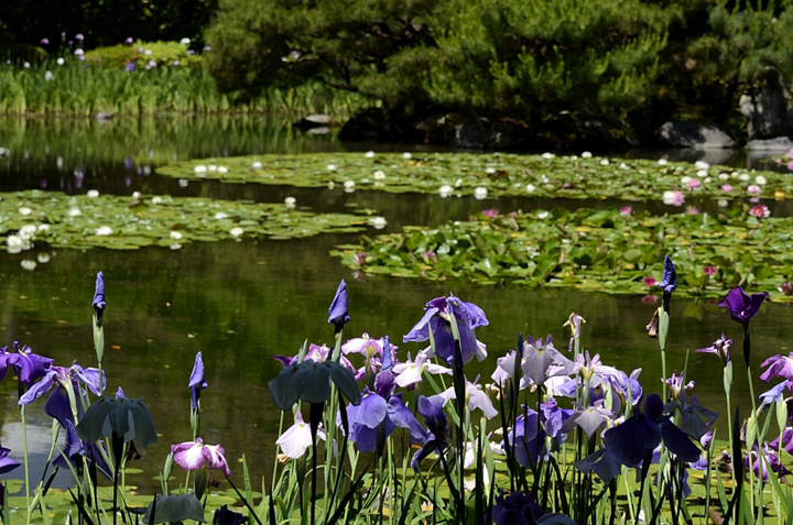 f0108478_20102724.jpg