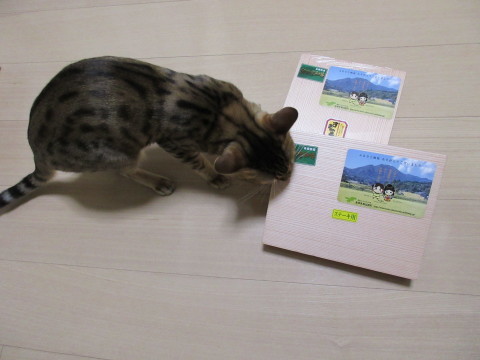 c0310987_15242114.jpg