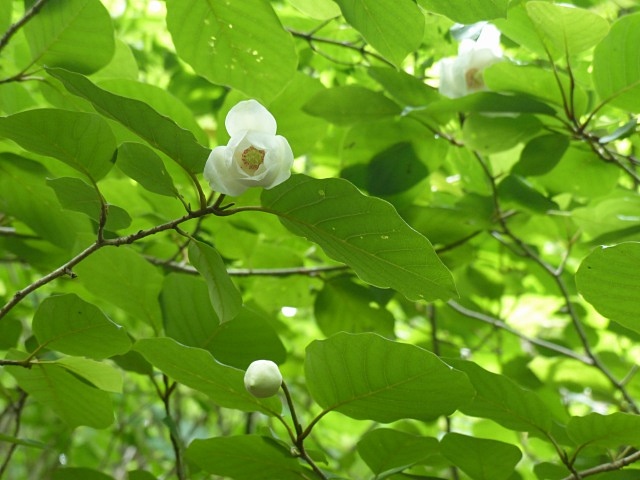 f0357487_22472571.jpg