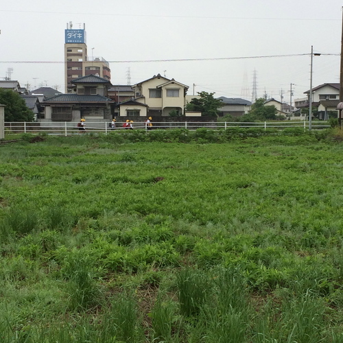 a0326292_10374459.jpg