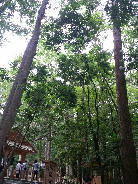 e0087008_8471693.jpg