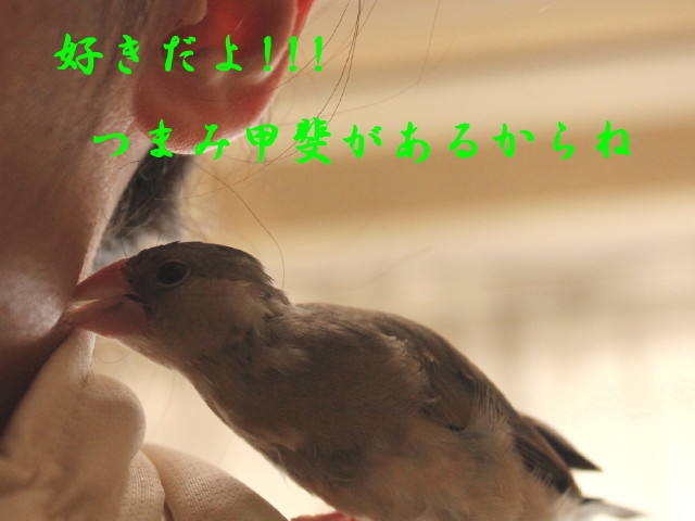 c0365734_21212148.jpg