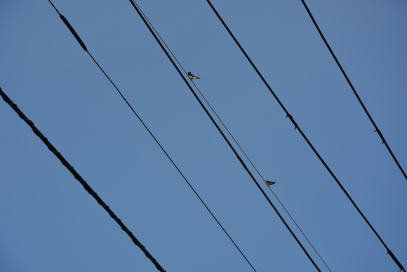 b0235548_13563172.jpg