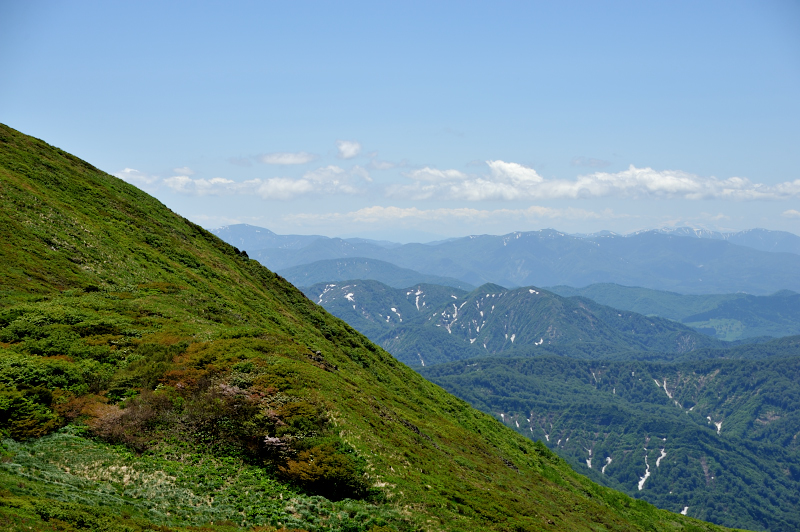 d0169556_21364076.jpg