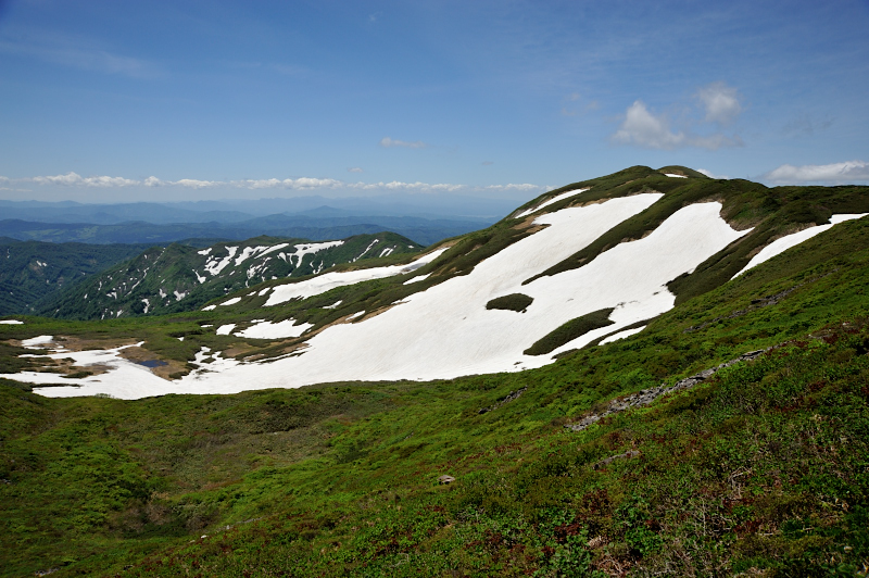 d0169556_21412222.jpg