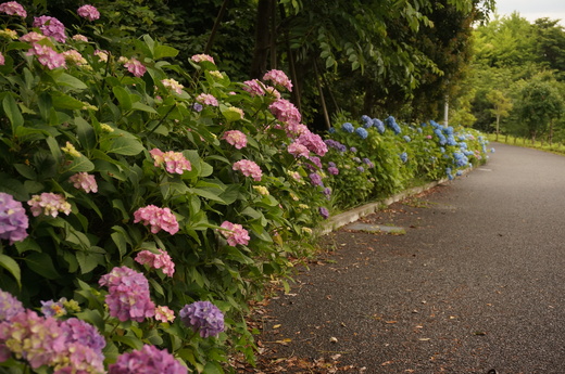 f0257756_0535625.jpg