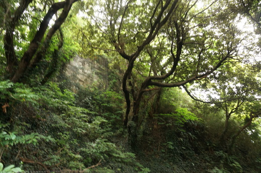 f0257756_10624.jpg
