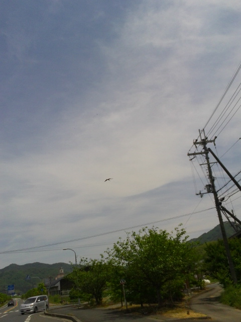 c0214359_004620.jpg