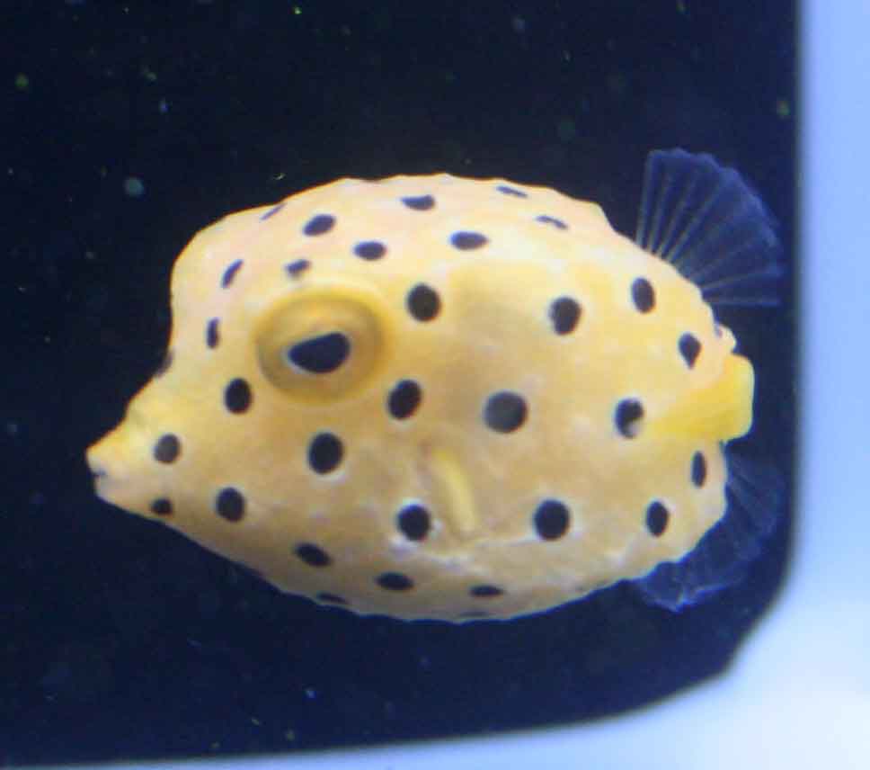 a0162261_17143038.jpg