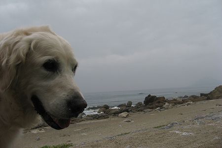 b0094265_1375059.jpg