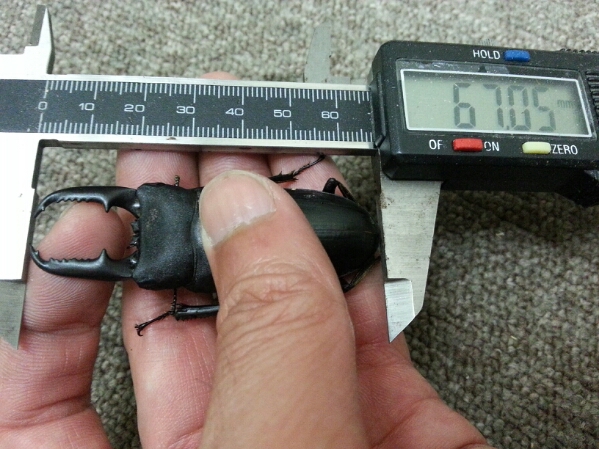f0183484_4431419.jpg