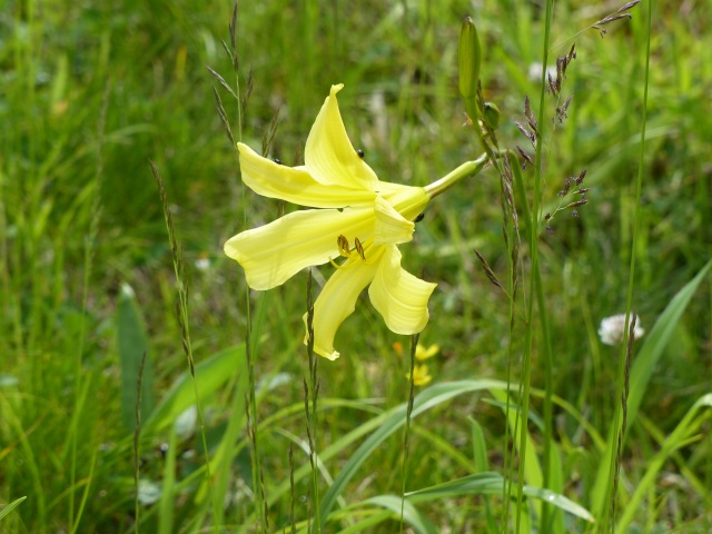 f0357487_171218.jpg