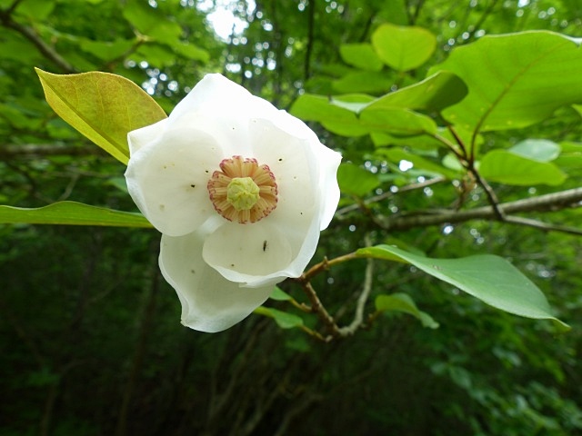 f0357487_17131491.jpg