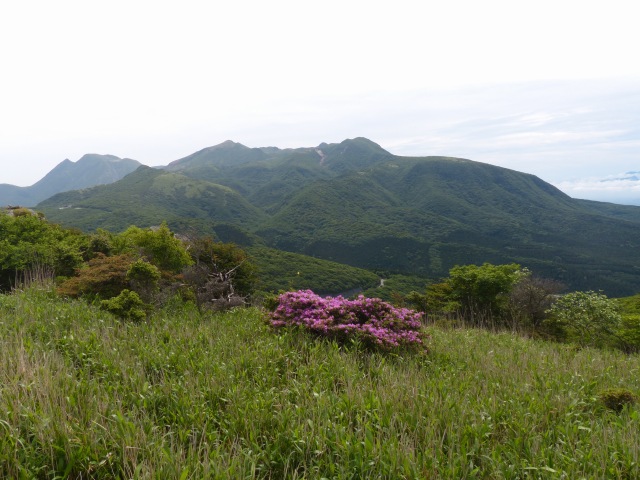 f0357487_1719397.jpg