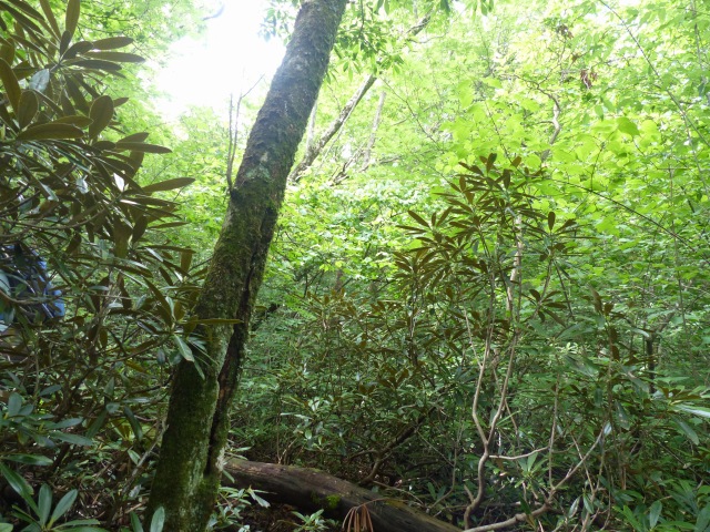 f0357487_1753814.jpg