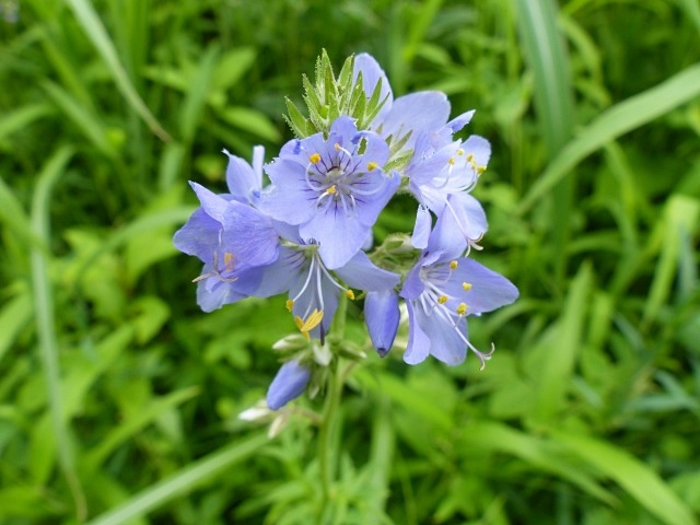 f0357487_211140100.jpg