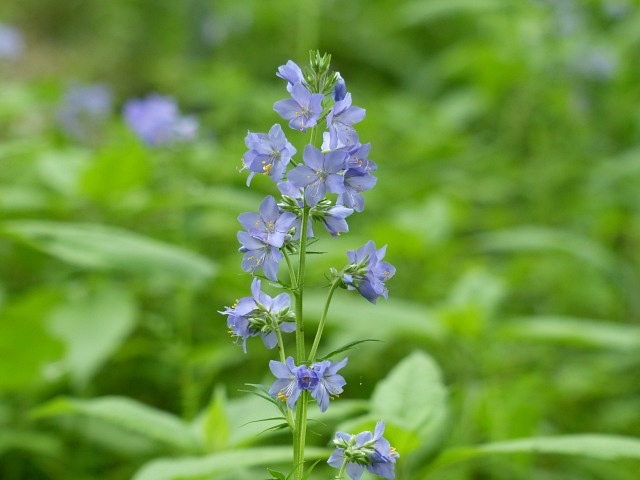 f0357487_2112337.jpg