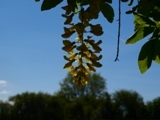 b0110999_02081256.jpg