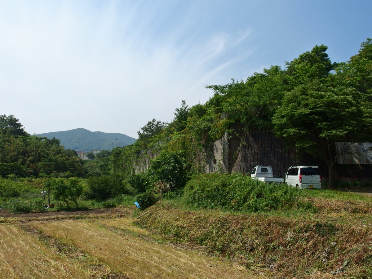b0165802_725182.jpg