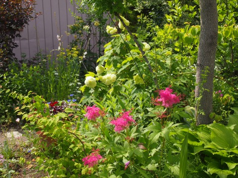 c0117007_7171930.jpg