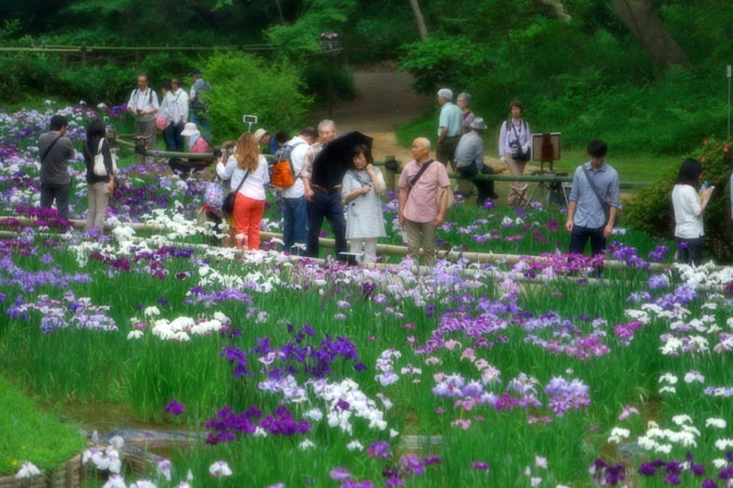 a0263109_1337191.jpg