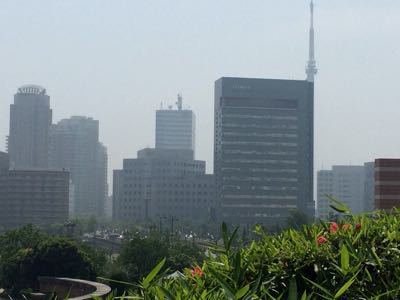 e0177509_15591598.jpg