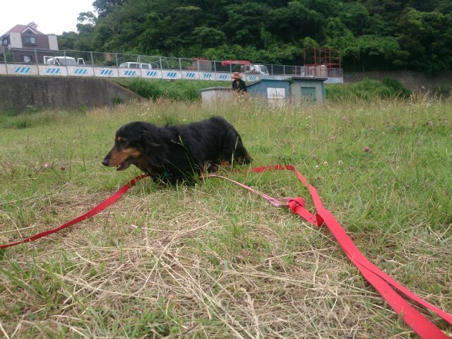 c0315313_21381508.jpg