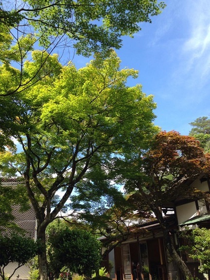 f0231829_00594326.jpg
