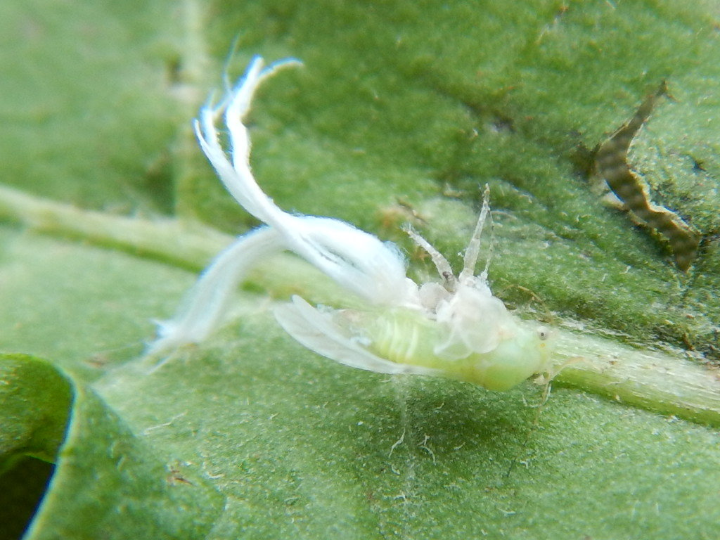 f0118332_23454269.jpg
