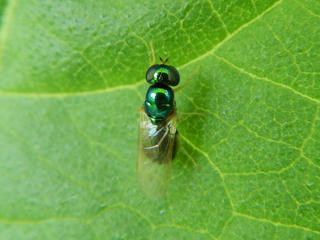 f0118332_23462359.jpg