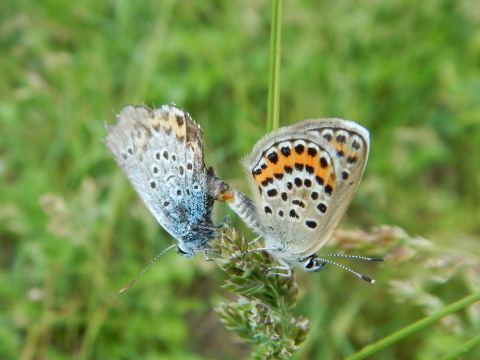 f0118332_23465855.jpg