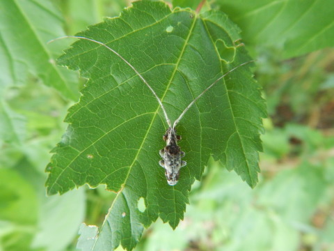 f0118332_23493754.jpg